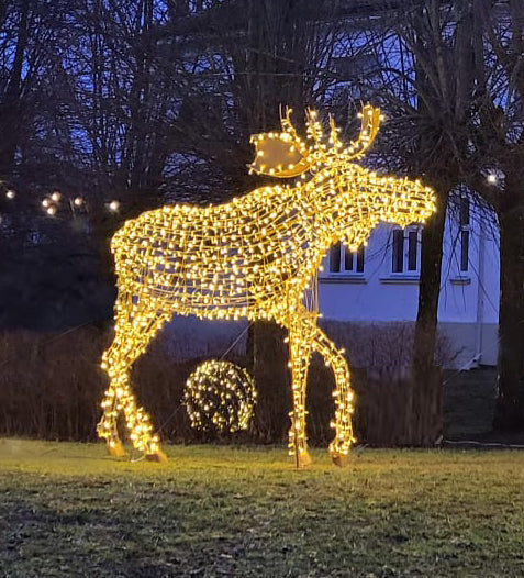 Elk 3m Arnis 7skyrent