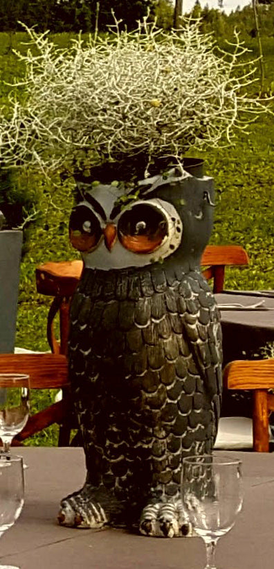 Owl planter