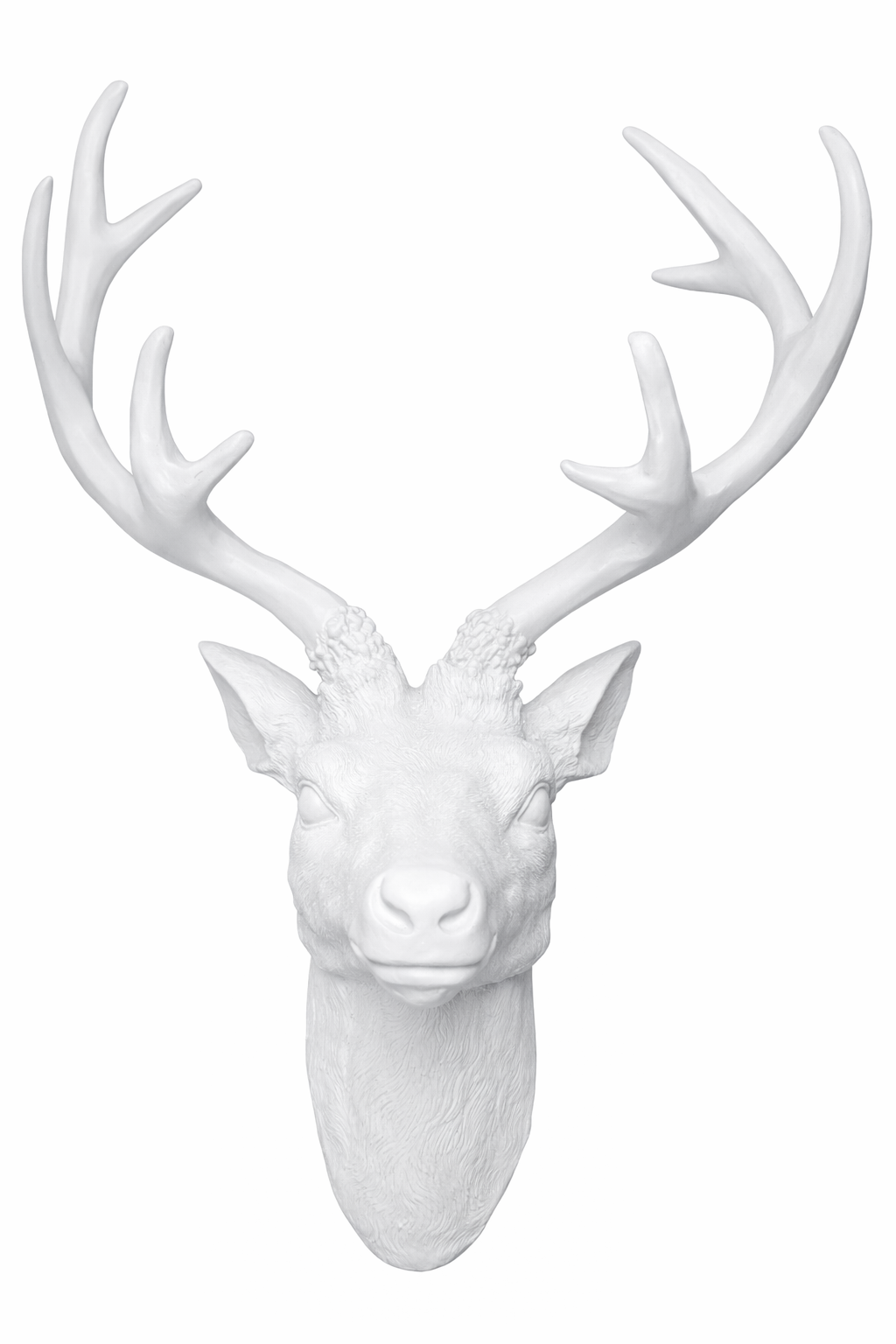 Modern Scandinavian and minimalist winter palace themes, boutique retail accent walls and window displays, luxury hotel lobby and lounge styling, high-end corporate photo booth backdrops, and editorial interior photography sets.