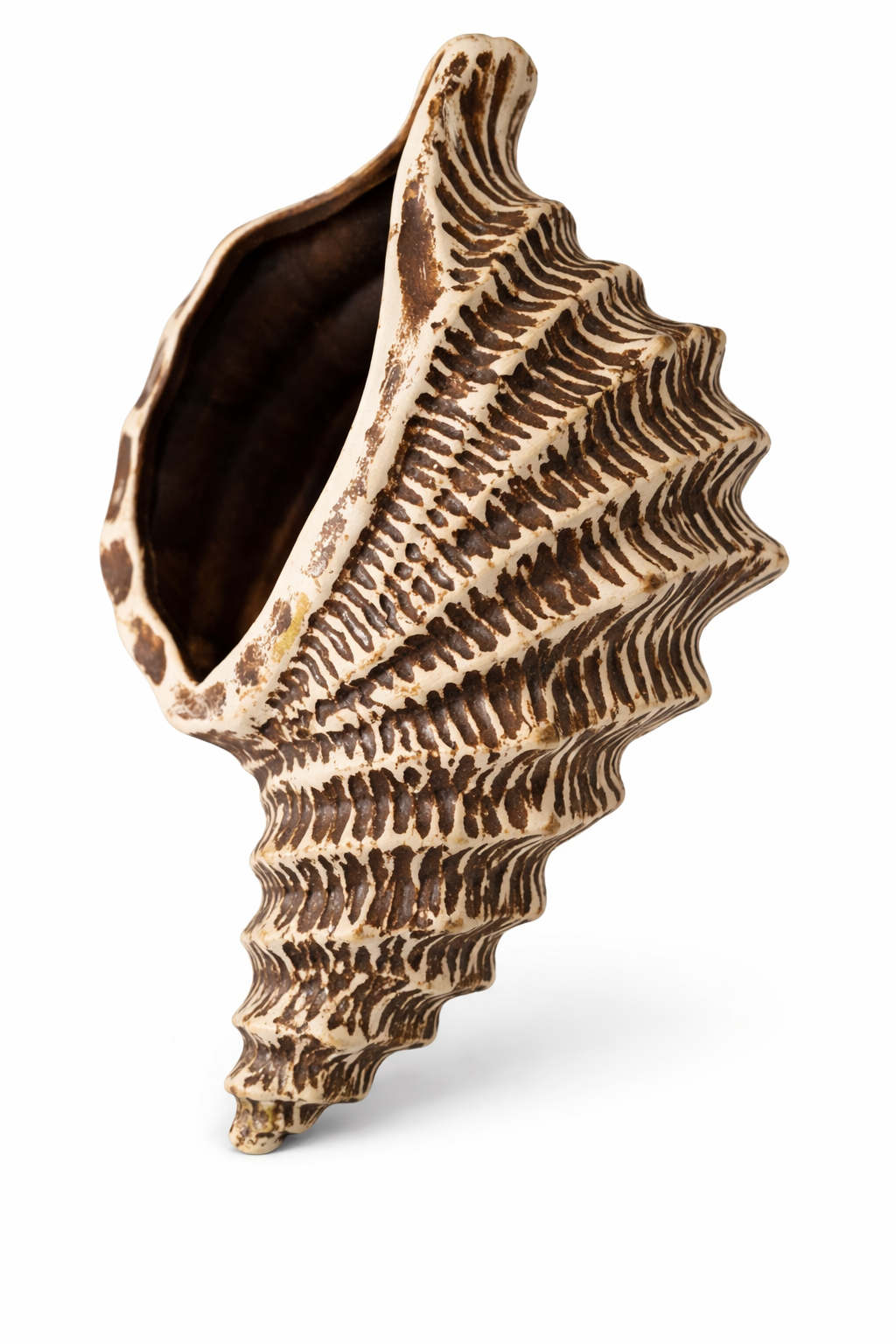 Ocean Decor Figures – Lighthouse, Coral & Shell