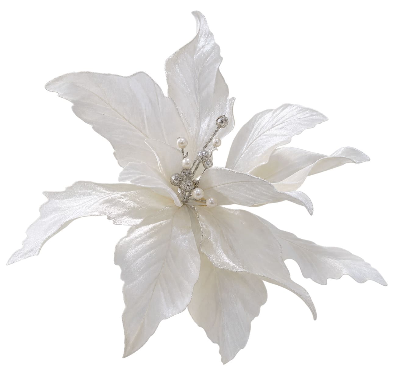 Soft Velvet Poinsettia big