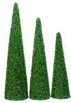 Green cone hedges