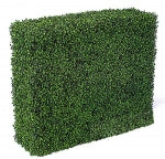 Green Boxwood Hedges