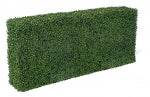 Green Boxwood Hedges