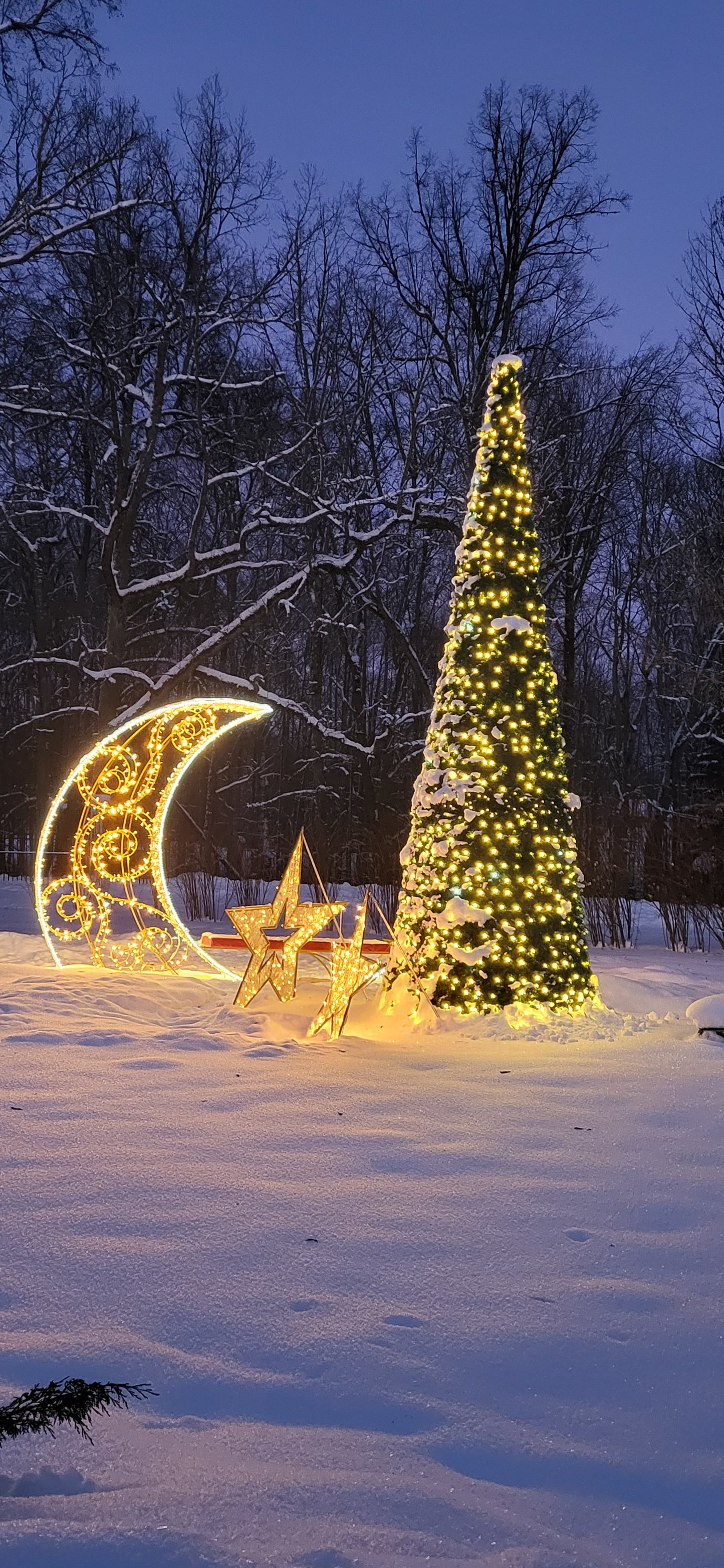Outdoor winter scene with a snow-covered ground, bare trees, and decorative golden holiday lights shaped like a cone and crescent moon with stars.