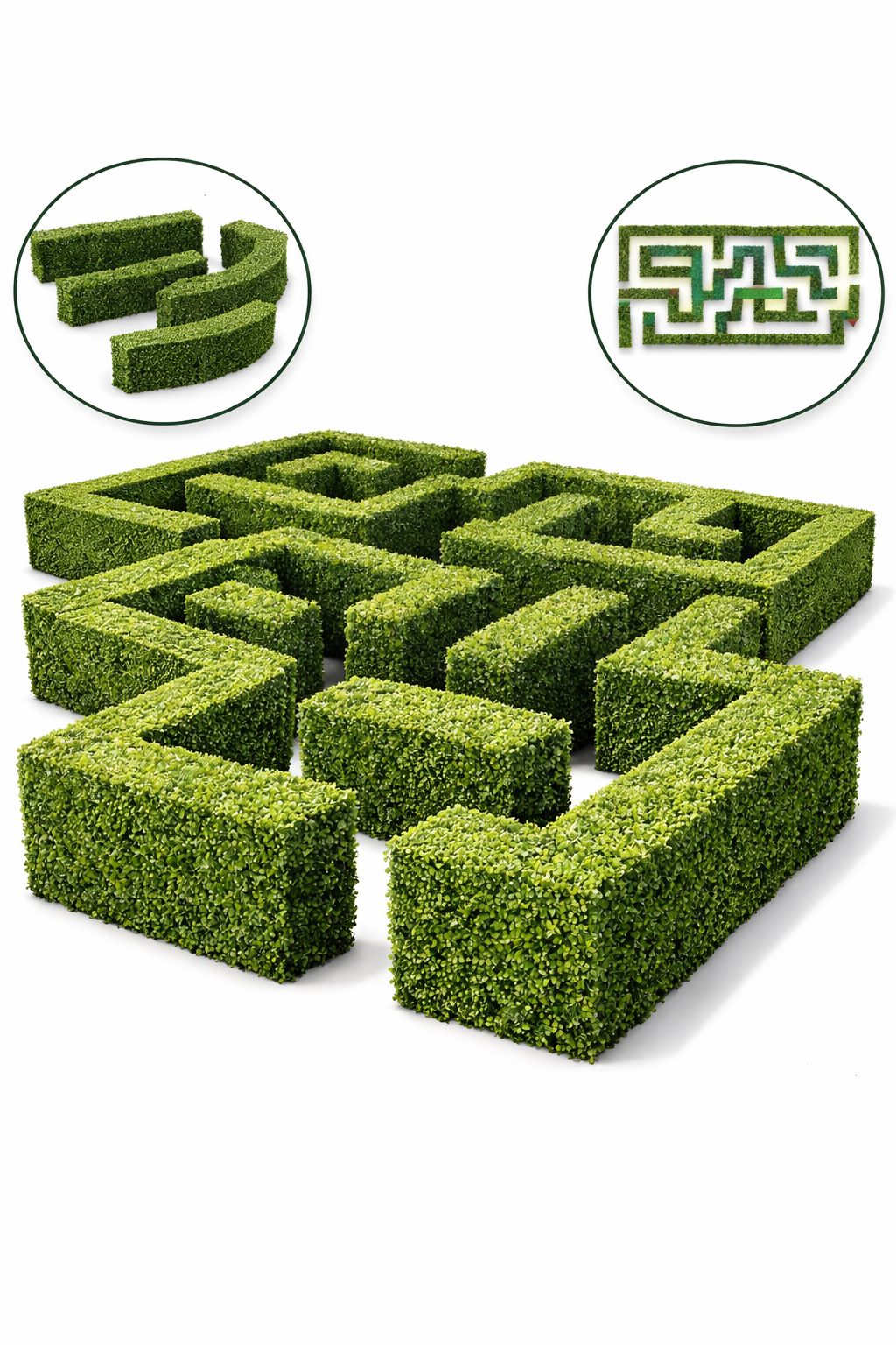 Boxwood labyrinth