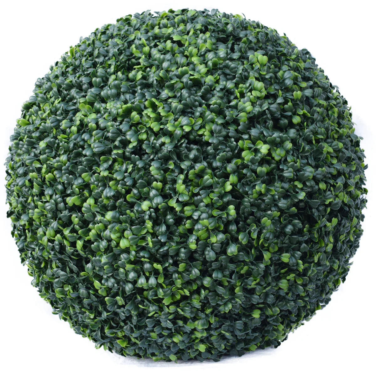 Green Boxwood ball 60 cm