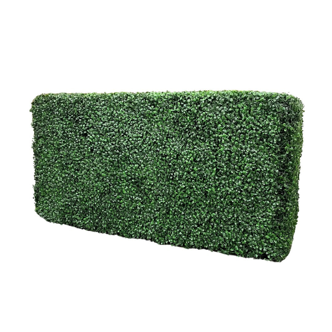 Green Boxwood Hedges