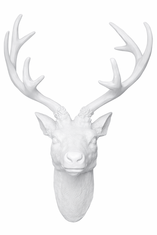 Modern Scandinavian and minimalist winter palace themes, boutique retail accent walls and window displays, luxury hotel lobby and lounge styling, high-end corporate photo booth backdrops, and editorial interior photography sets.